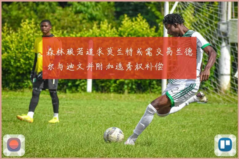 森林狼若追求莫兰特或需交易兰德尔与迪文并附加选秀权补偿